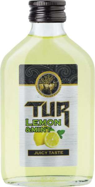 Tur Lemon & Mint 0,1L