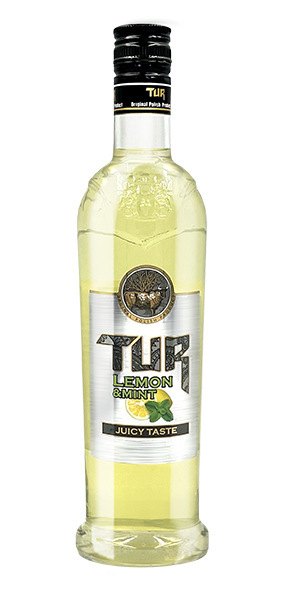 Tur Lemon & Mint 0,5L